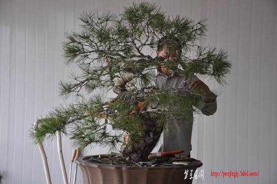 Ƭ 077.jpg