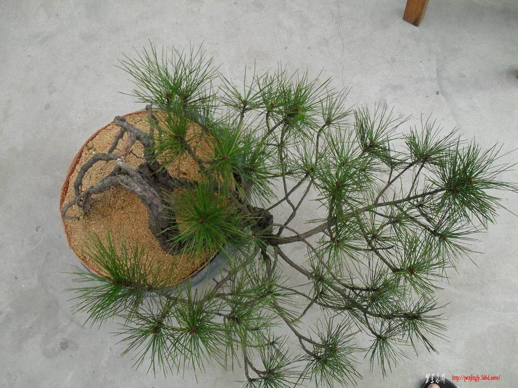 С SDC10872.jpg