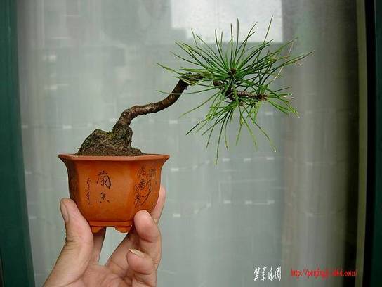 DSCN3815.JPG