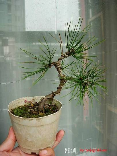 DSCN3782.JPG