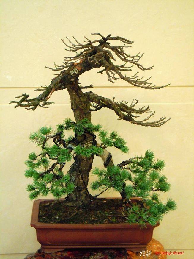 DSCN3673.JPG