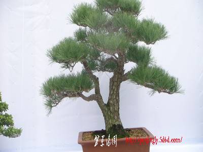 DSC01440.jpg