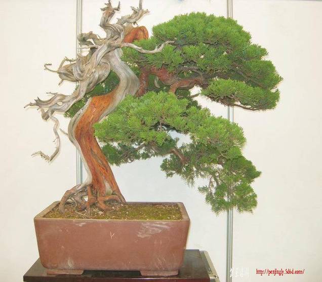 DSCN1476.JPG