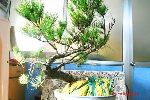 Ƭ 082.jpg