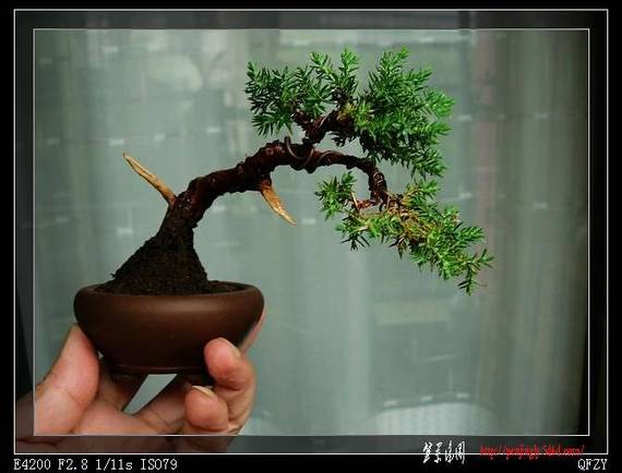 DSCN3858.JPG