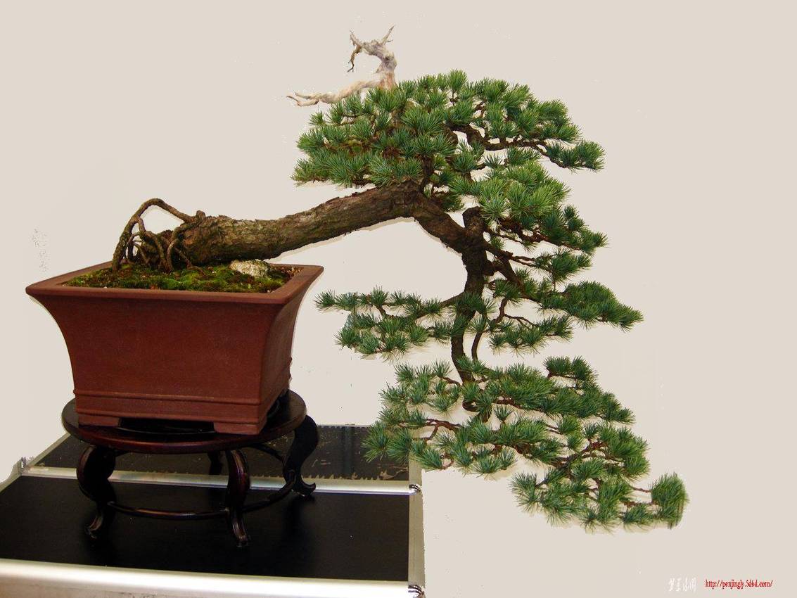 DSCN1522.JPG