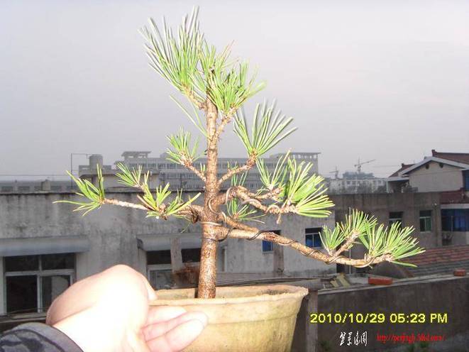 SDC10440.JPG