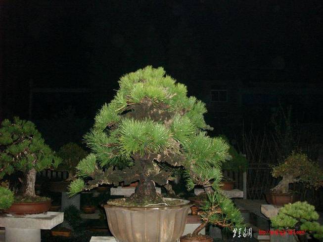 DSC03072.JPG