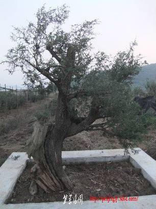 2010_10290010.JPG