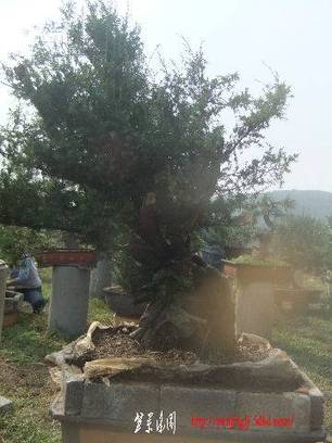 2010_10310022.JPG