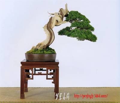 20090930144730_p59.jpg