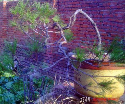 IMAG0034.JPG
