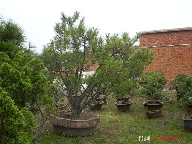 SANY0044.JPG