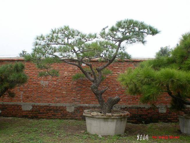 SANY0038.JPG