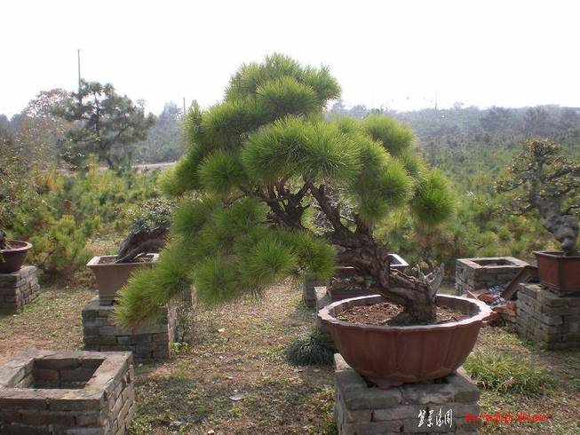 SANY0062.JPG