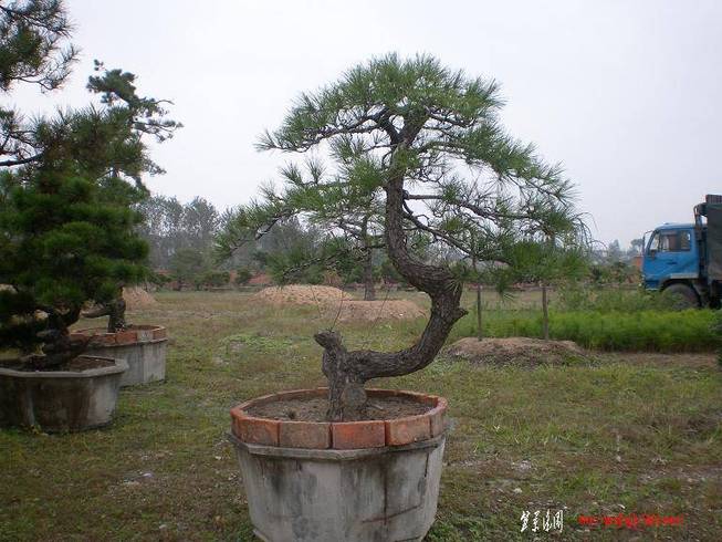 SANY0025.JPG
