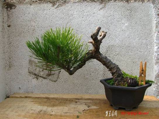 Ƭ 021.jpg