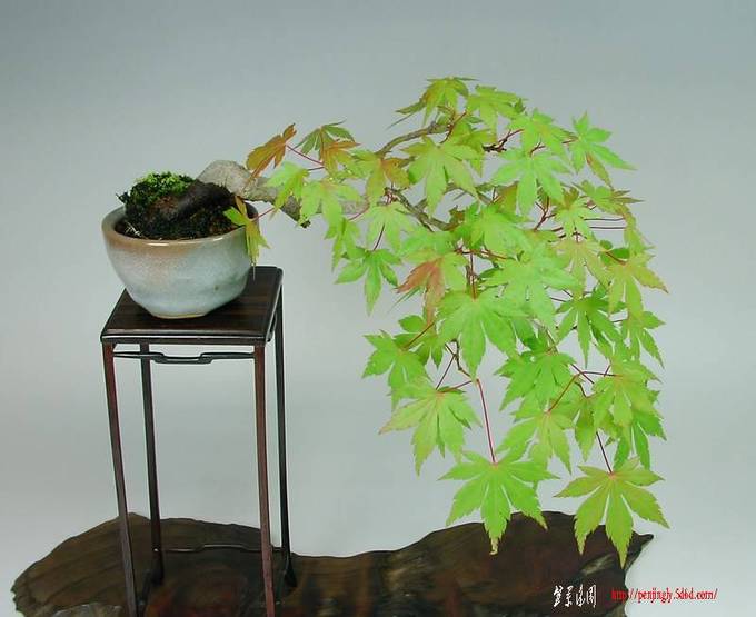 080701SANY0118.jpg