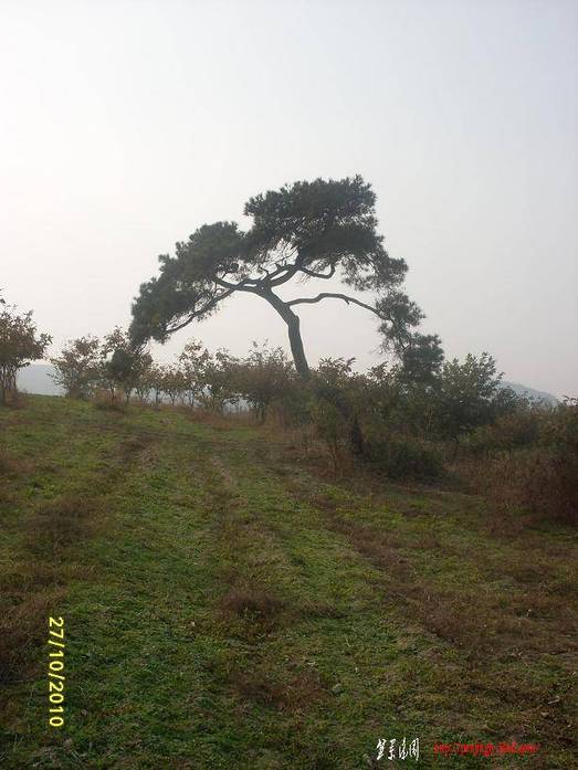 SDC12015.JPG