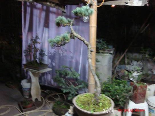 DSC03585.JPG