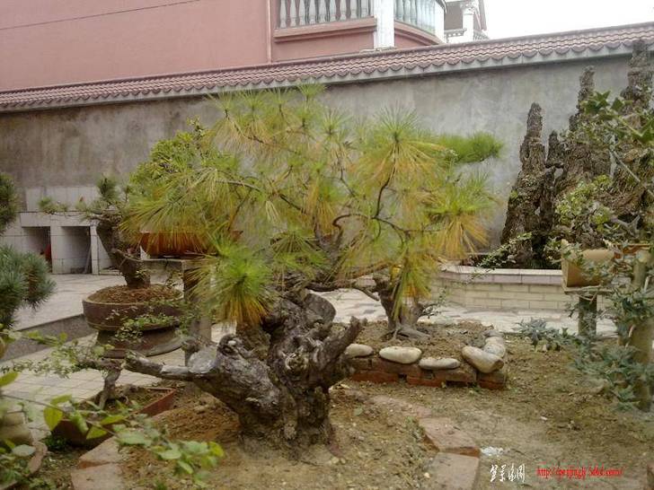 20101111127.jpg