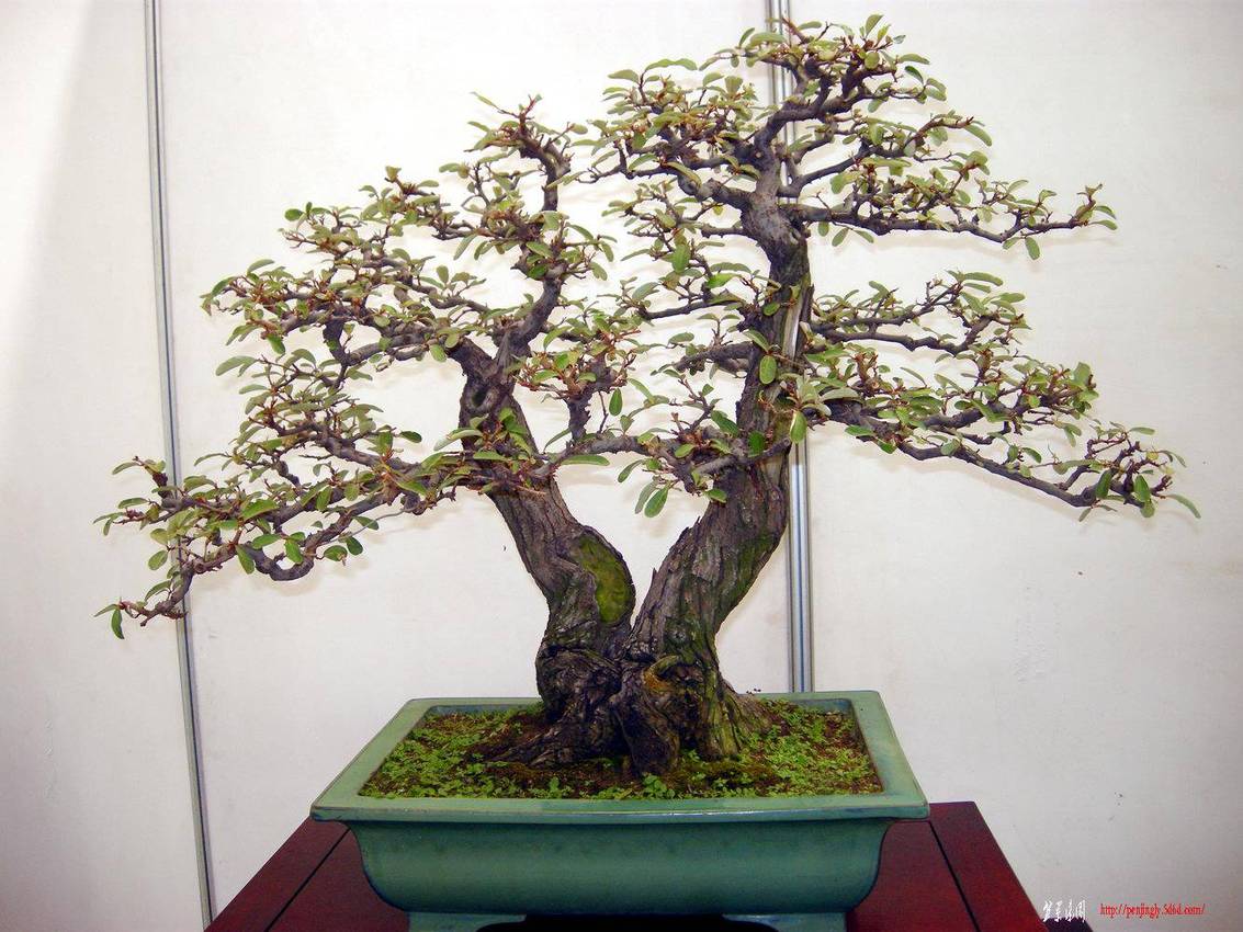 DSCN1562.JPG