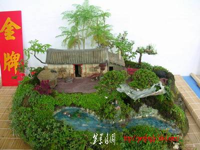 DSCN6343-1.jpg