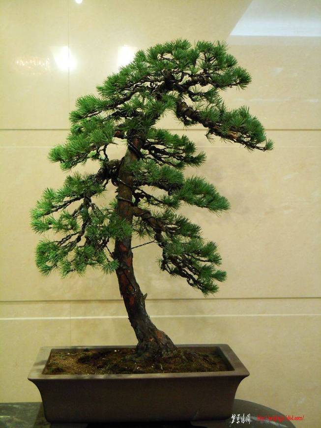 DSCN0513.JPG