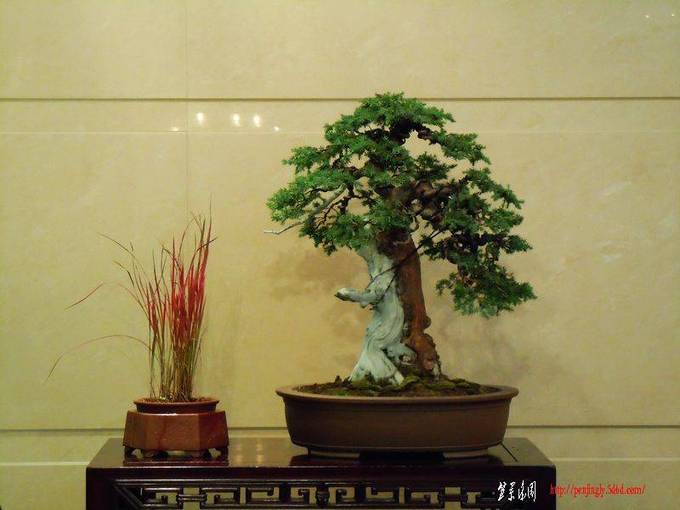 DSCN0576.JPG