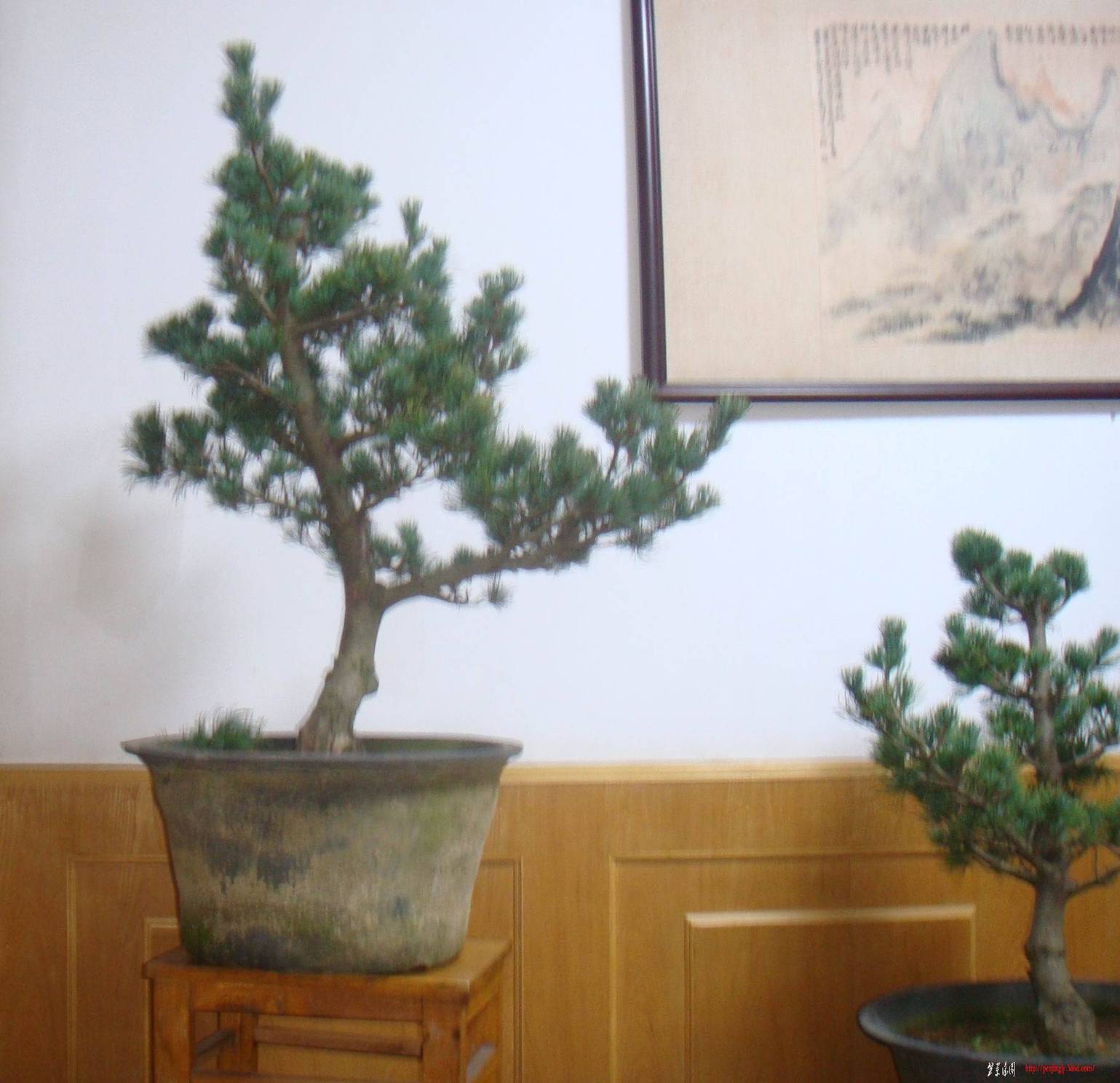 DSC07540().jpg