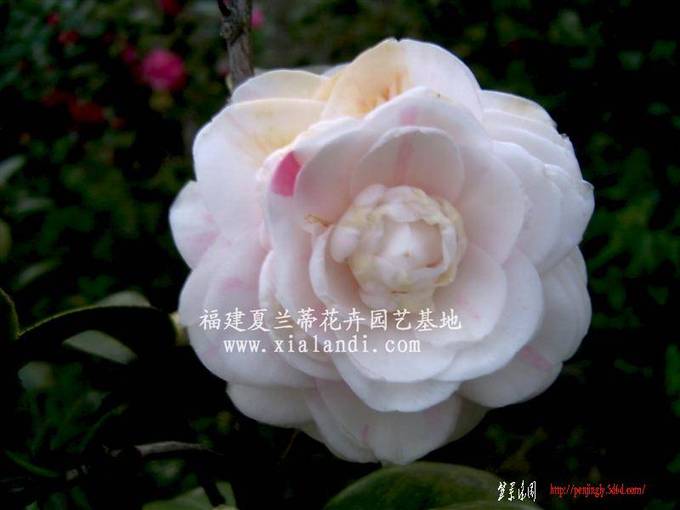 9cccfae507c9193068691700[1].jpg