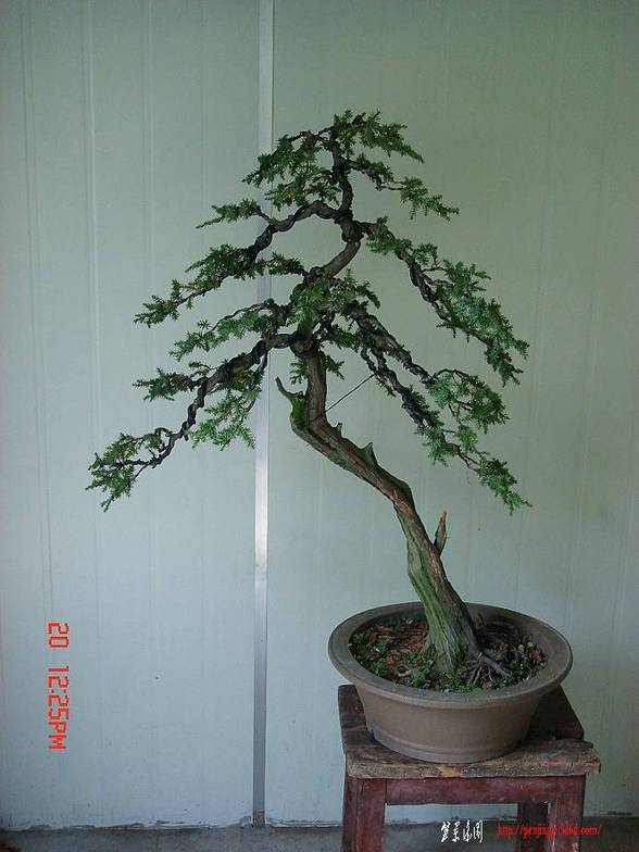 DSC00049_.jpg