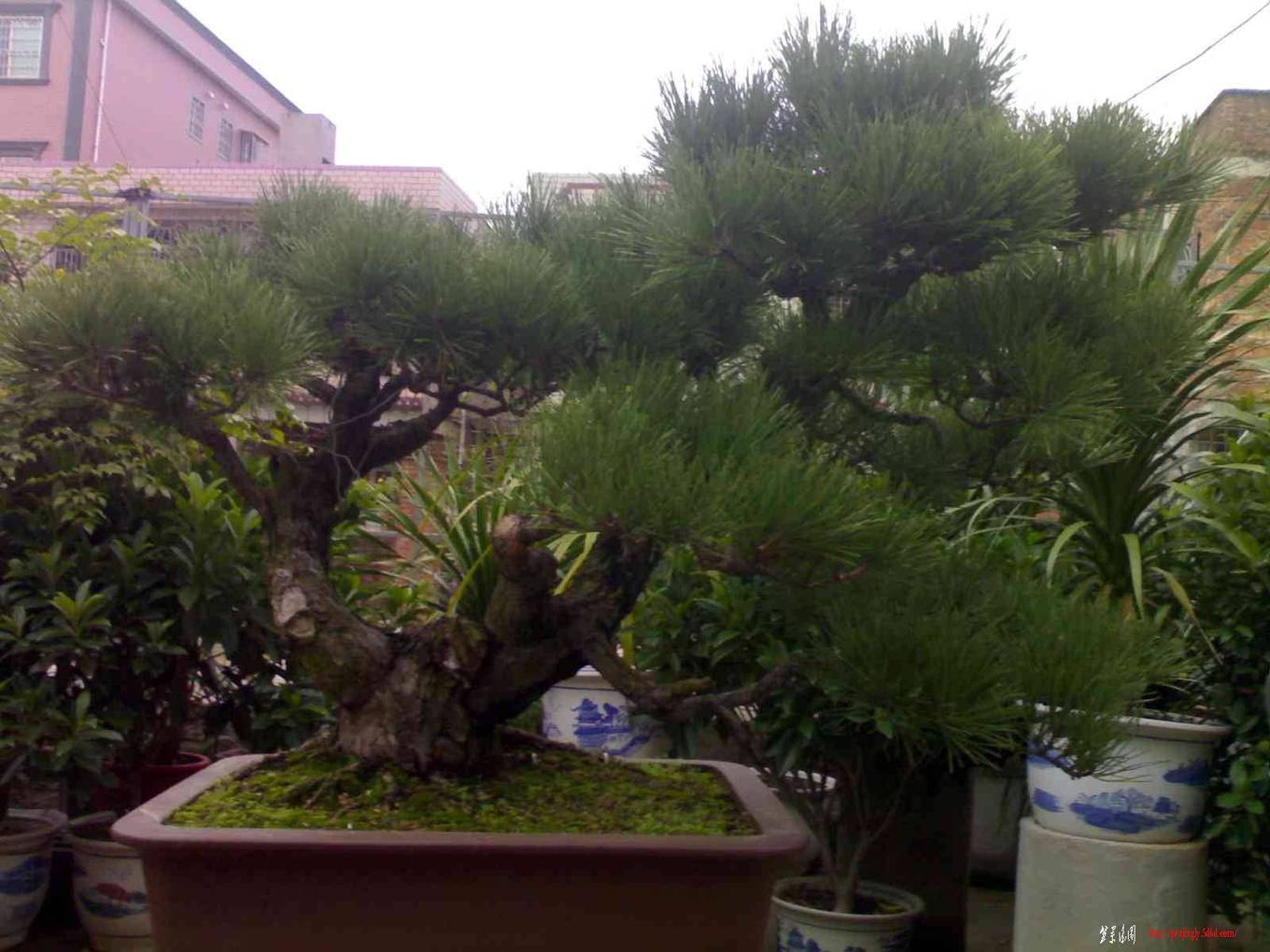 20101106528.jpg