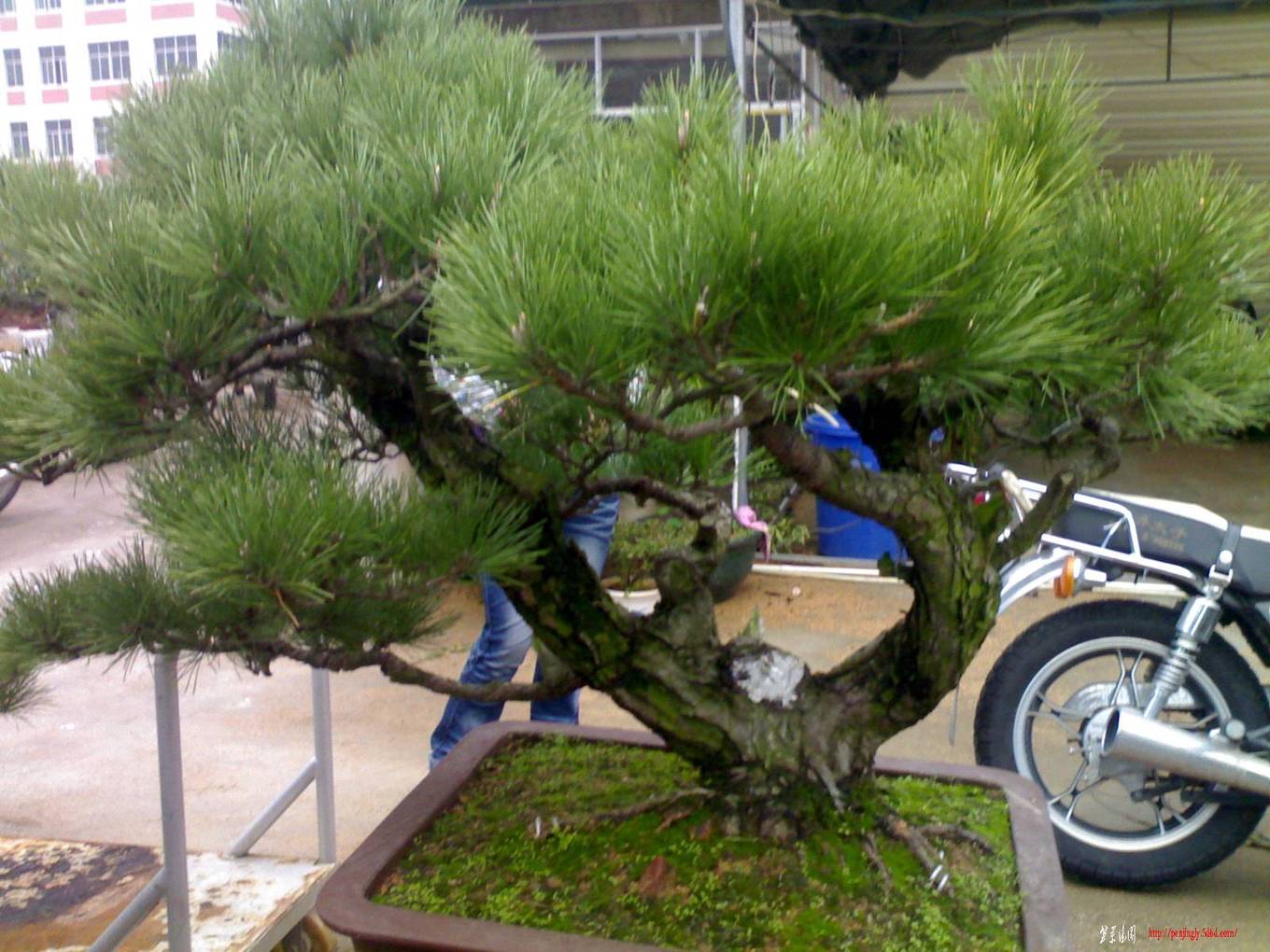 20101106529.jpg