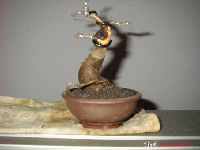 PB230077.JPG