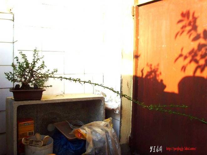SNV30020.JPG