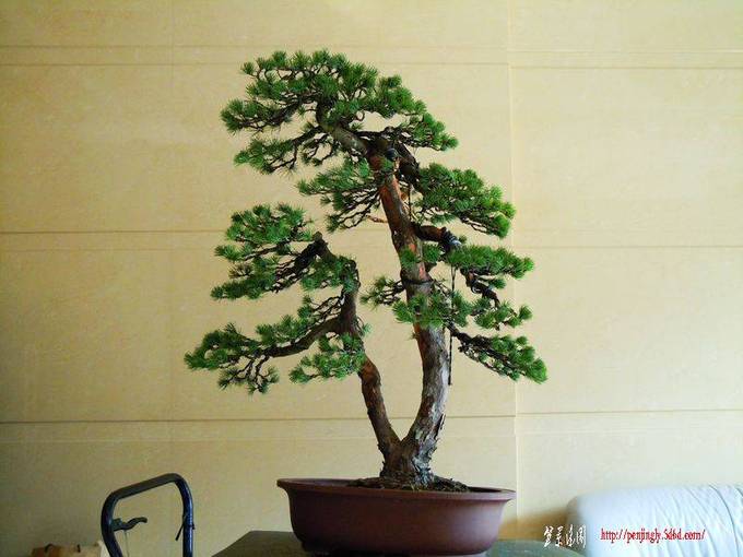 DSCN0922.JPG