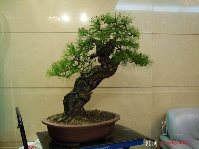 DSCN1090.JPG