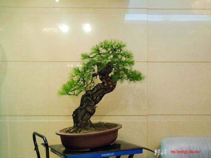DSCN1147.JPG