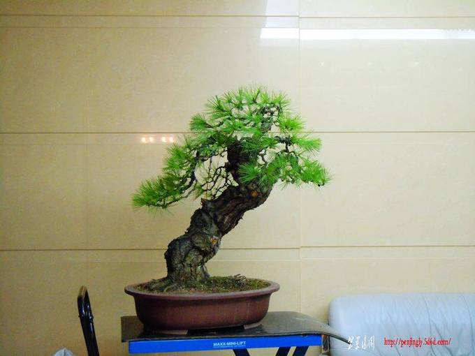 DSCN1123.JPG