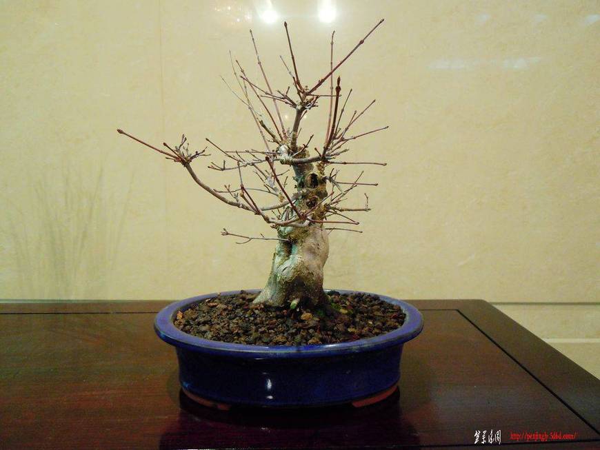 DSCN1252.JPG
