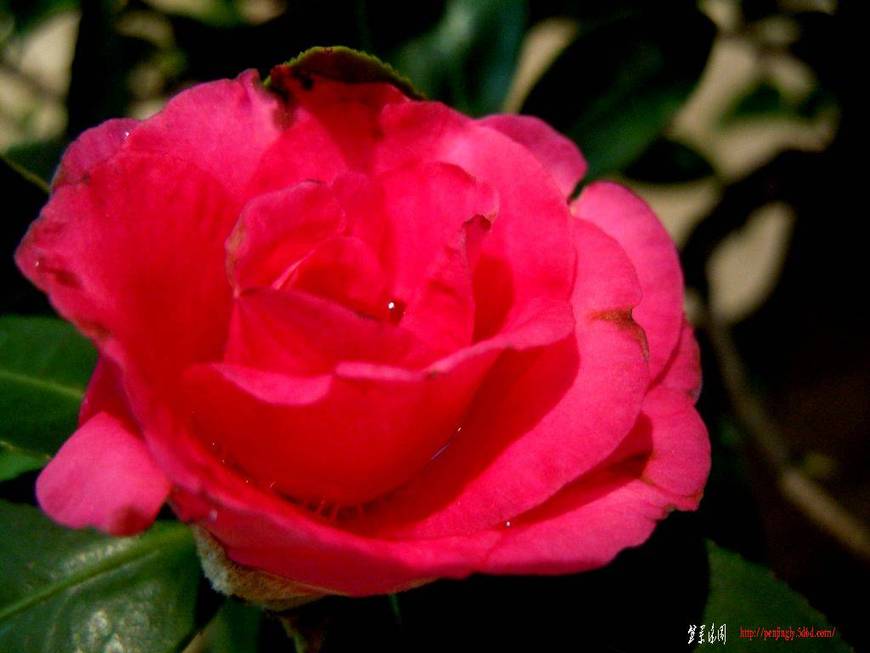 DSCN1310.JPG