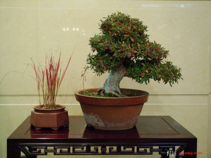 DSCN1365.JPG