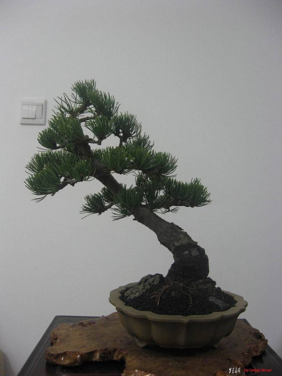 世博和等会 074.jpg