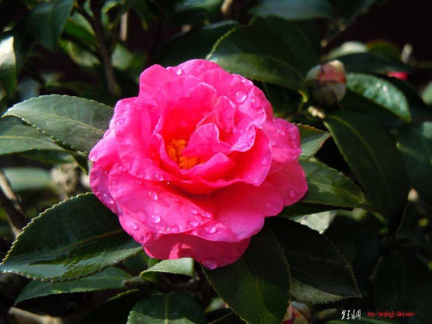 DSCN1624.JPG