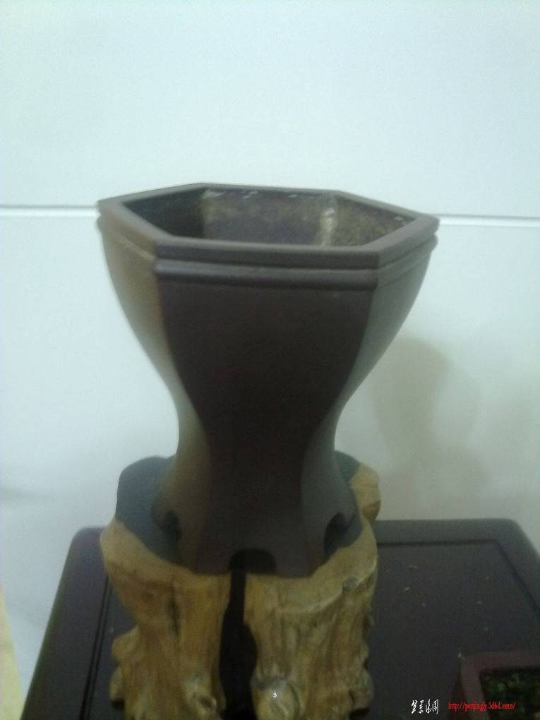 20101206083.jpg
