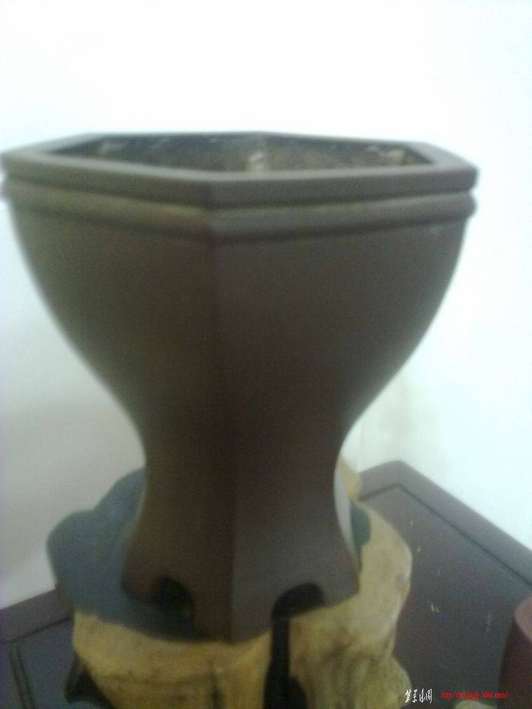 20101206085.jpg