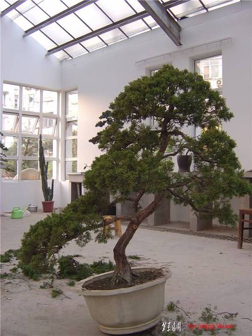 DSC07125_.jpg