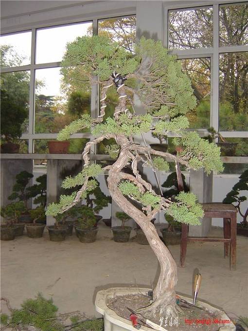 DSC07140_.jpg