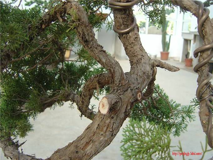 DSC07133_.jpg